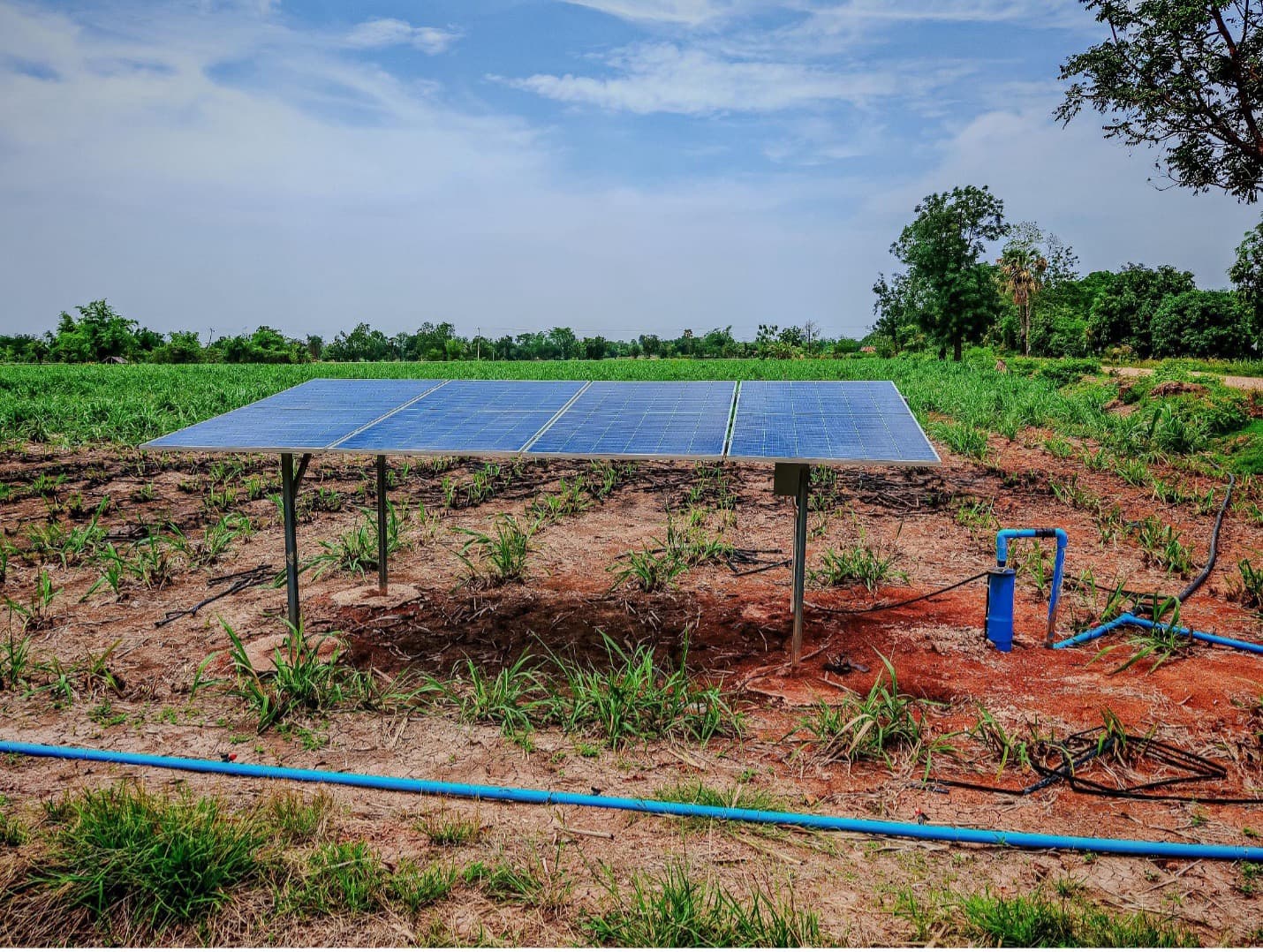 SystemsAgro irrigation installation